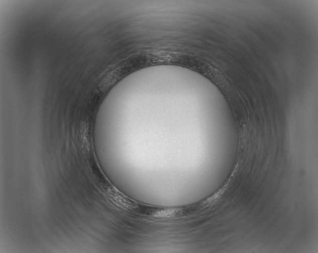 X0000059080178200510070939