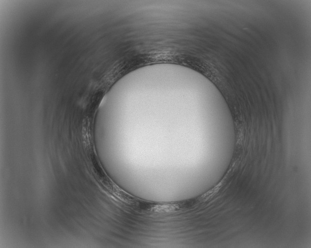 X0000059080179200510070939