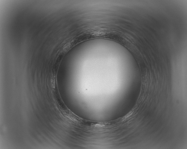 X0000059080180200510070939