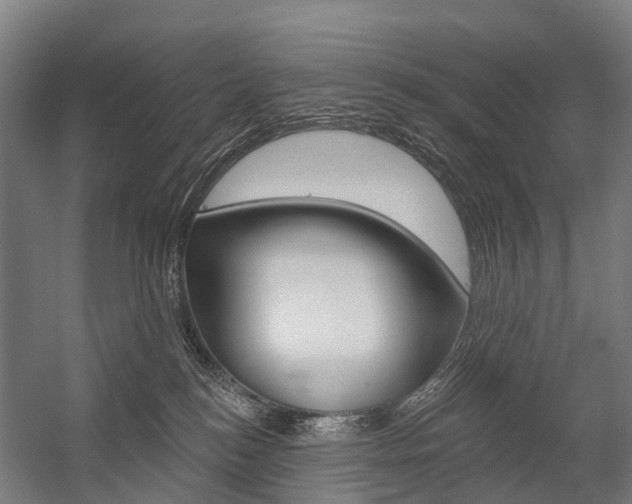 X0000059080184200510070939