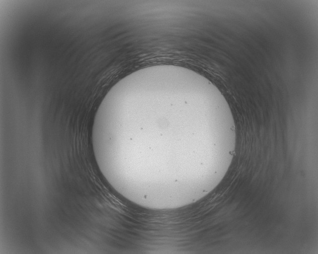 X0000059080185200510070939