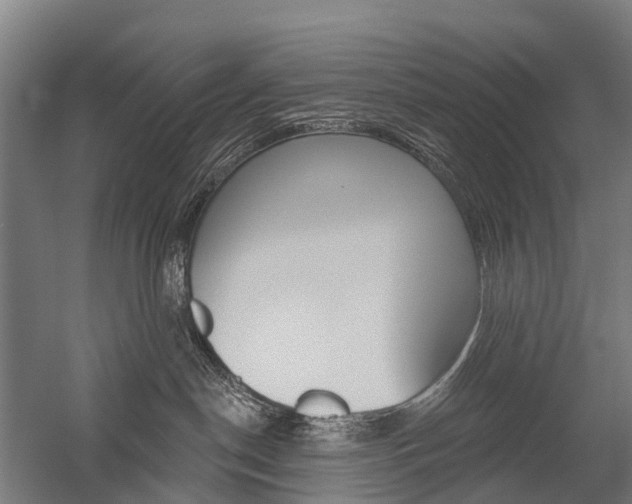 X0000059080190200510070939