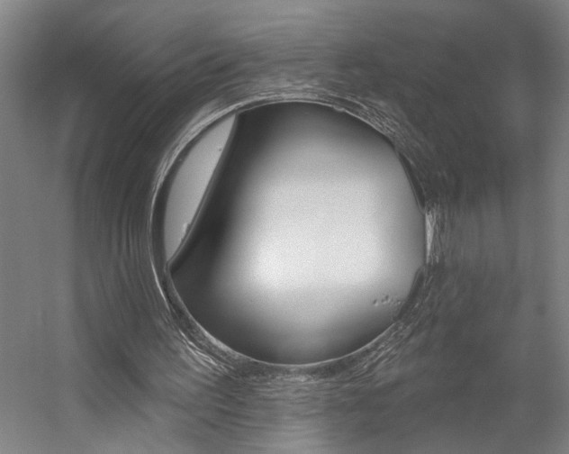 X0000059080195200510070939