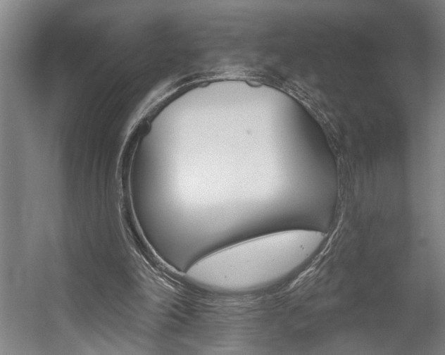 X0000059080198200510070938