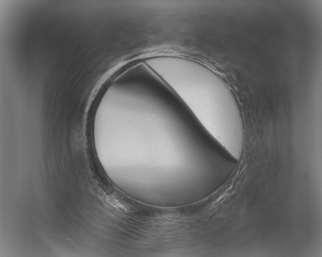 X0000059080200200510070938