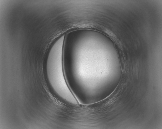 X0000059080201200510070938