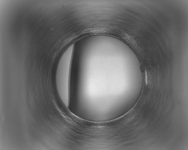 X0000059080205200510070938