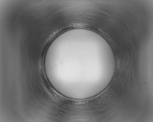 X0000059080208200510070938