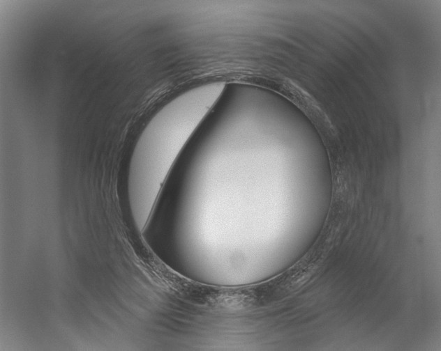 X0000059080209200510070938