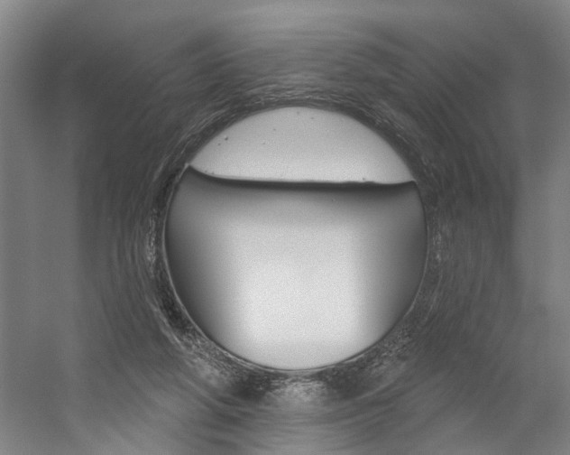 X0000059080210200510070938