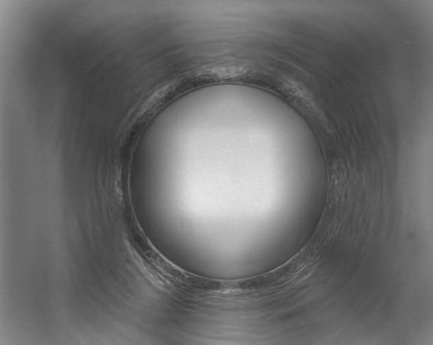 X0000059080212200510070938