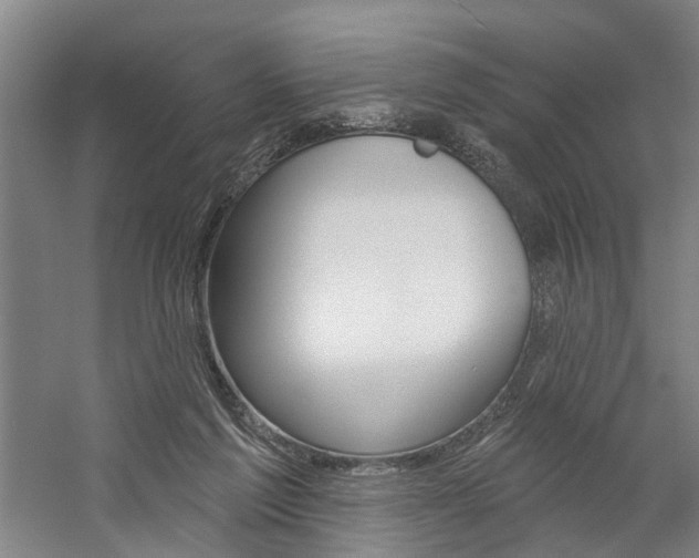 X0000059080213200510070938