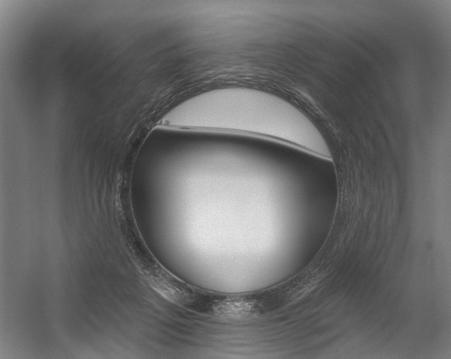 X0000059080217200510070938