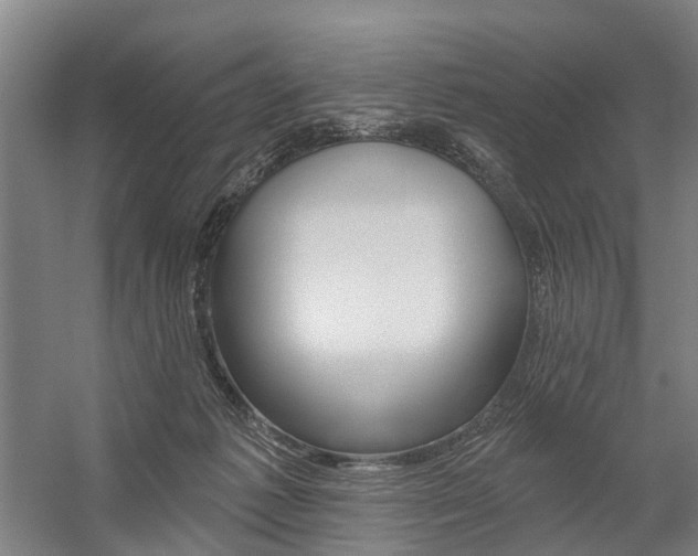 X0000059080221200510070938