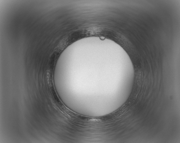 X0000059080222200510070938