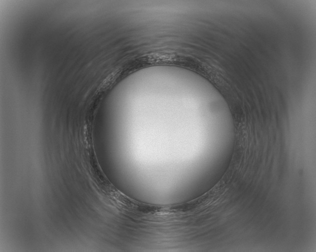 X0000059080224200510070938