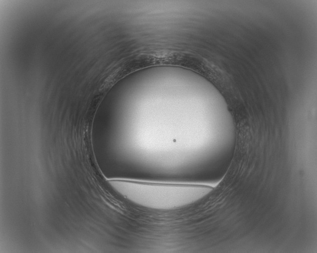 X0000059080225200510070938