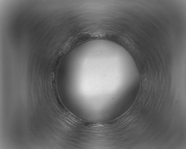 X0000059080229200510070938