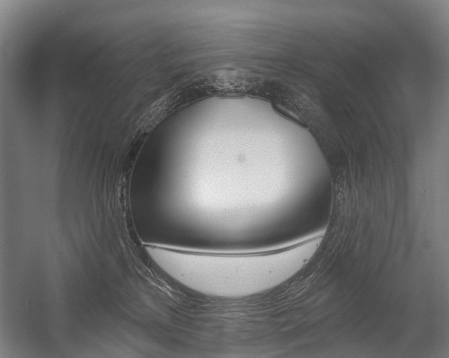 X0000059080233200510070938
