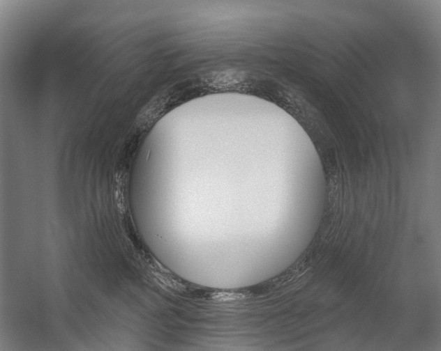 X0000059080234200510070938