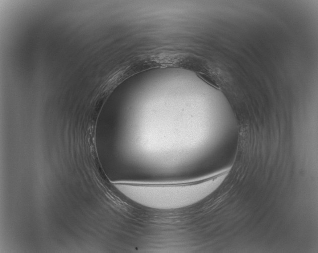 X0000059080237200510070938