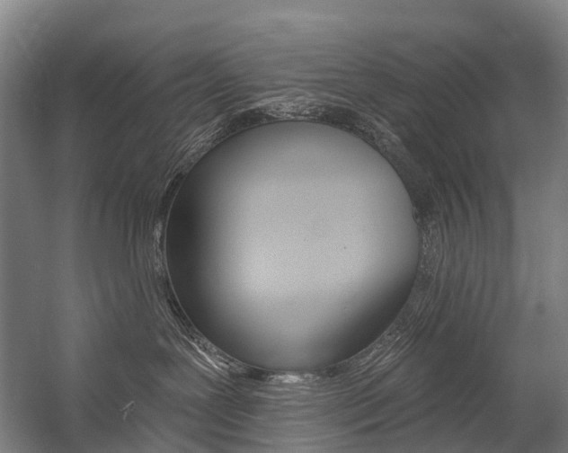 X0000059080239200510070938