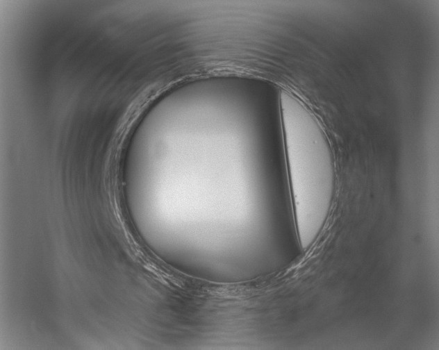 X0000059080241200510070937