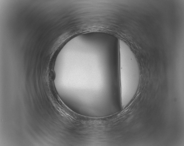 X0000059080242200510070937