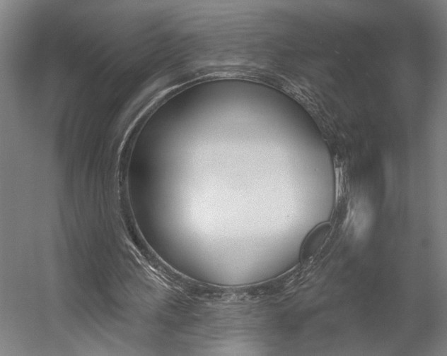 X0000059080243200510070937