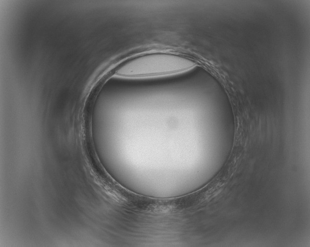 X0000059080247200510070937
