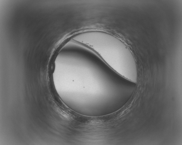 X0000059080248200510070937