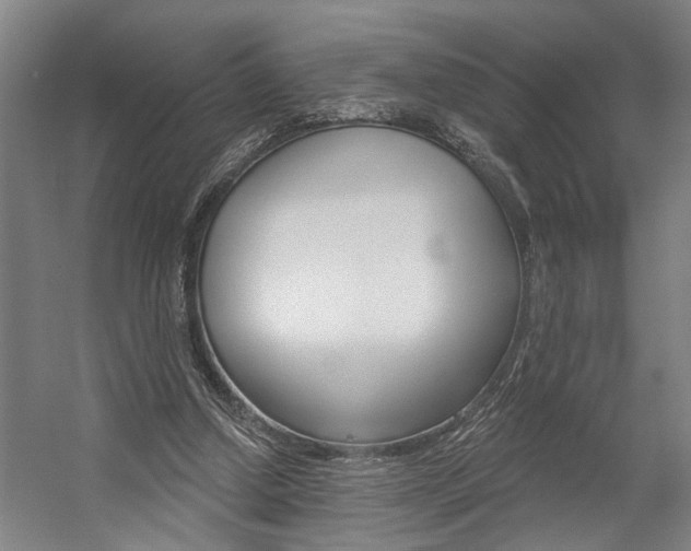 X0000059080250200510070937