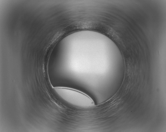 X0000059080251200510070937