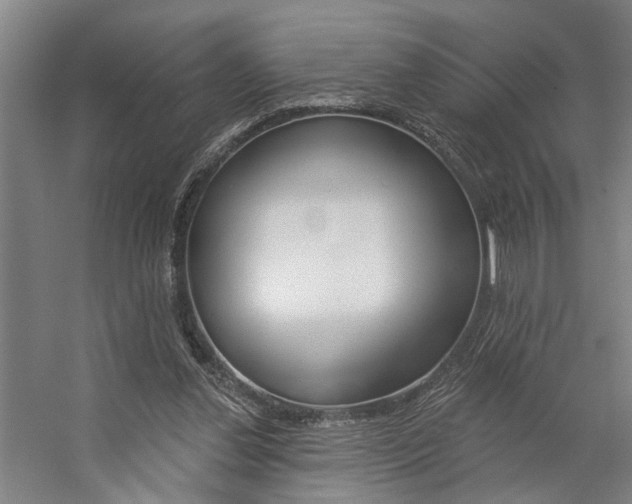 X0000059080252200510070937