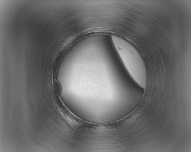 X0000059080253200510070937