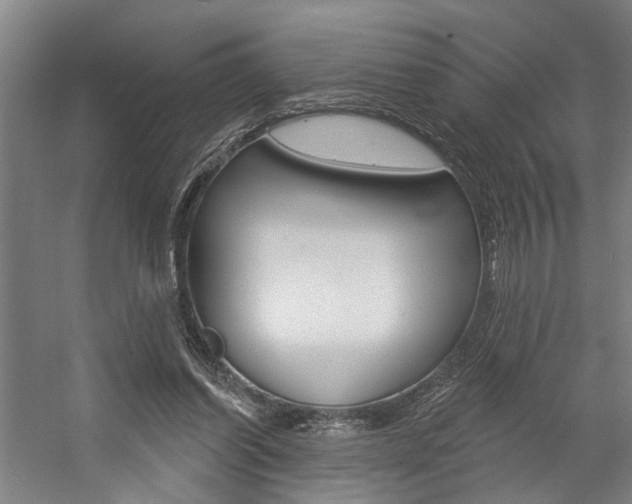 X0000059080254200510070937