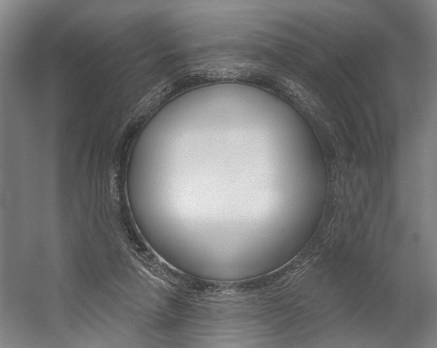 X0000059080258200510070937