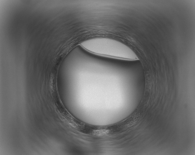 X0000059080266200510070937