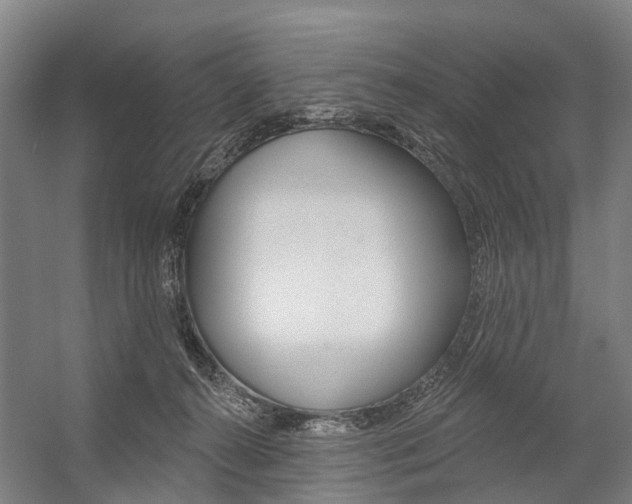 X0000059080272200510070938