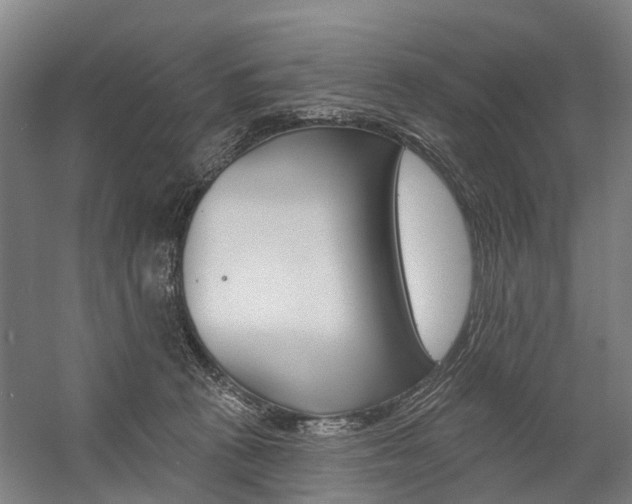 X0000059080273200510070938