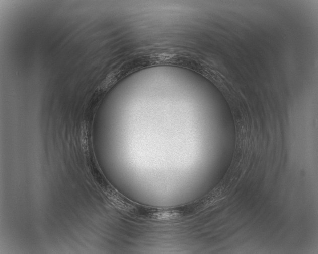 X0000059080274200510070938