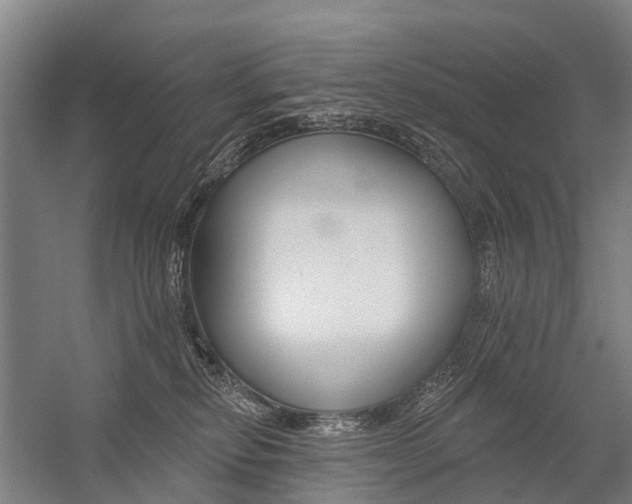 X0000059080278200510070938