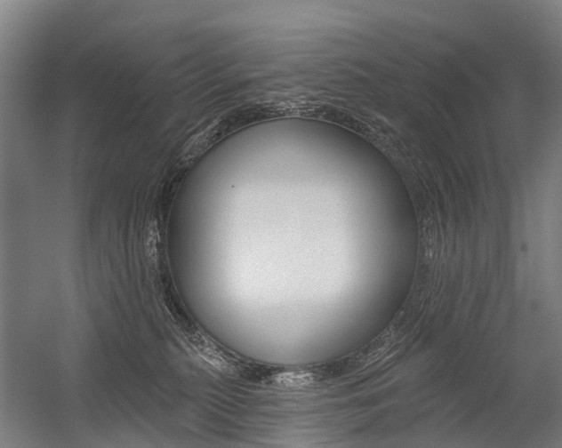 X0000059080279200510070938