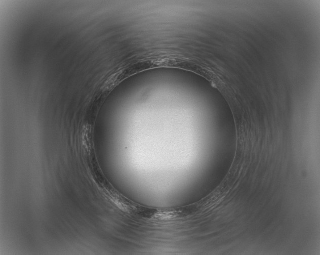 X0000059080280200510070938