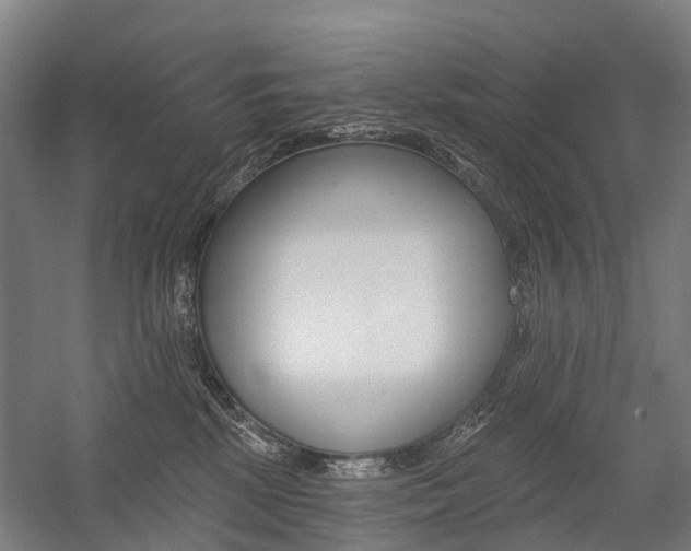 X0000059080281200510070938