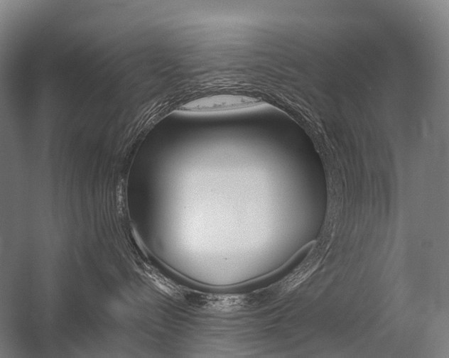 X0000059080288200510070938