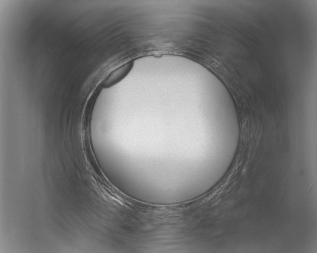 X0000059080290200510070937