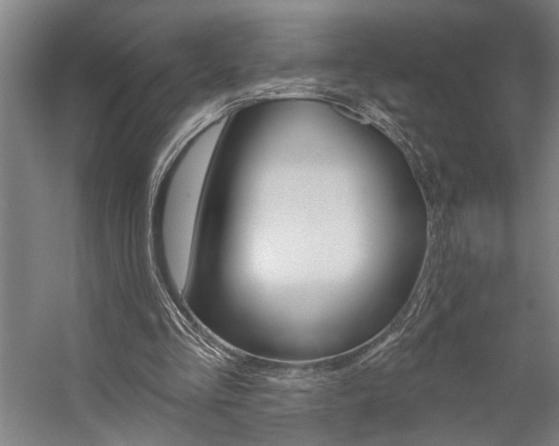 X0000059080293200510070937