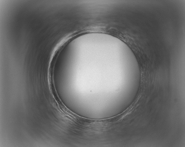 X0000059080294200510070937