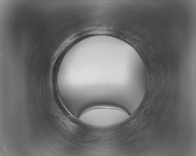 X0000059080296200510070937